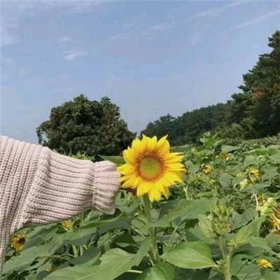 正中靶心破解版下载